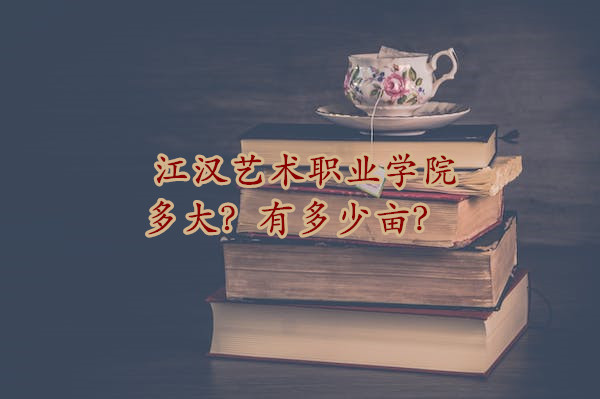 1666942497564161.jpg 江汉艺术职业学院多大?有多少亩?