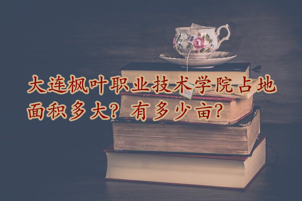 1667209202685479.jpg 大连枫叶职业技术学院占地面积多大?有多少亩?