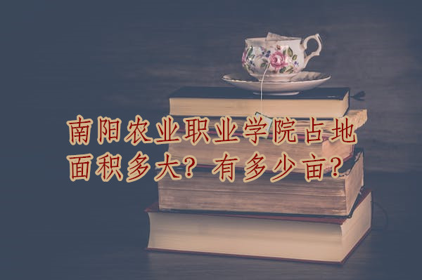 ũҵְҵѧԺռжĶ