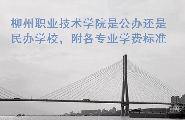 ����ְҵ����ѧԺ�ǹ��컹�����ѧУ������רҵѧ�ѱ�׼��