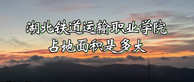 ְҵѧԺռǶжĶ