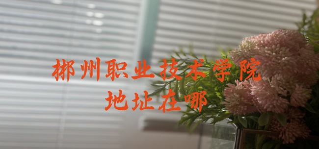 ����ְҵ����ѧԺ��ַ���ģ��ĸ�ʡ���ĸ����У��ĸ���