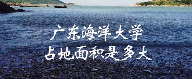 㶫ѧռǶжĶ