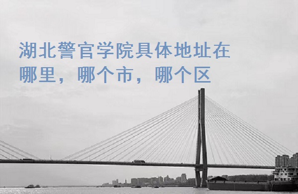 ѧԺַĸУĸ