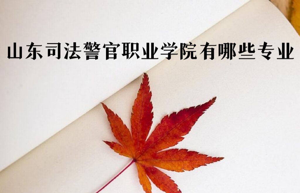 ɽ˾ְҵѧԺЩרҵרҵ/רҵü