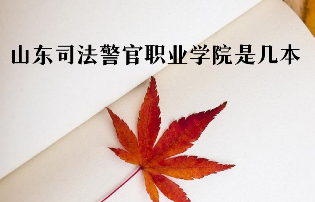 ɽ˾ְҵѧԺǼǱƻרԺУ