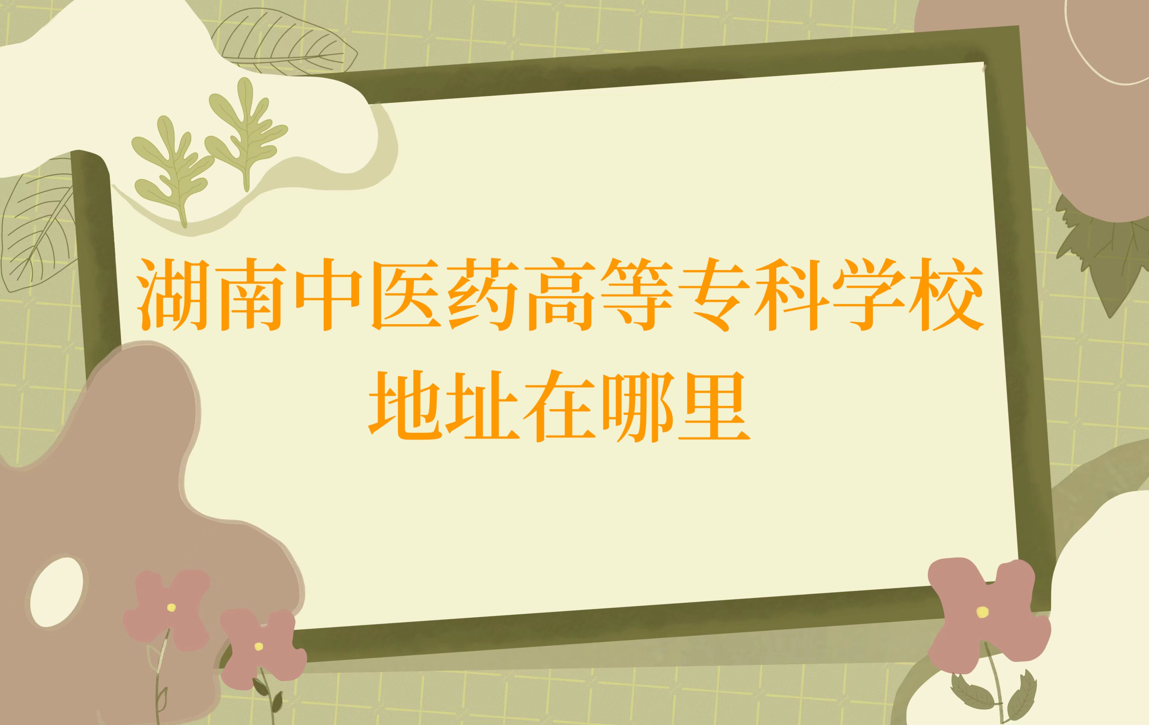 ������ҽҩ�ߵ�ר��ѧУ��ַ������ĸ������ĸ������м���У��