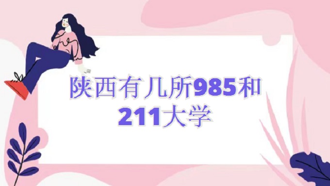 м985211ѧ985211ѧһ2024