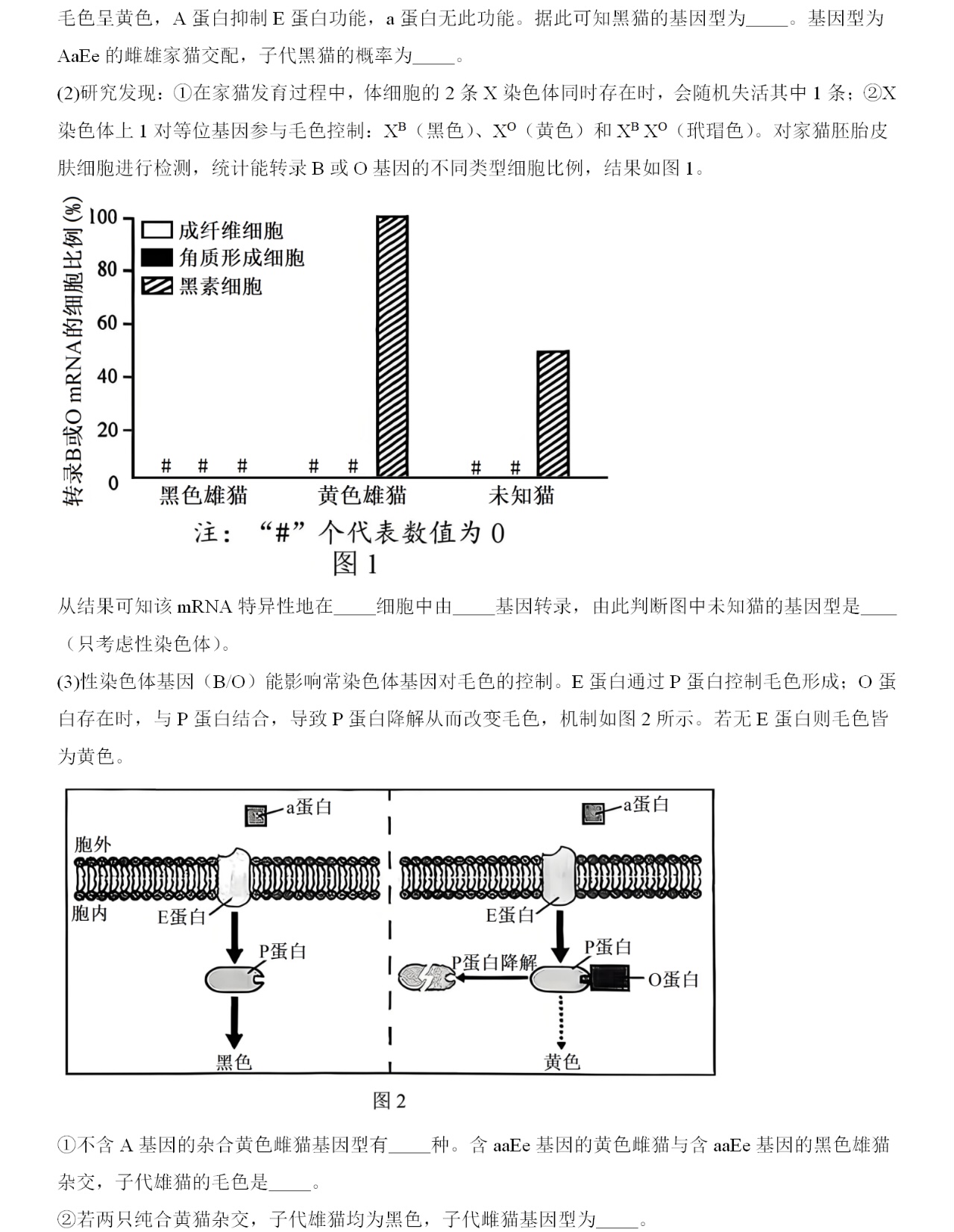 1762156728520655.jpg 2025福建新高考生物试卷真题及答案解析,附考点题型及分值分布