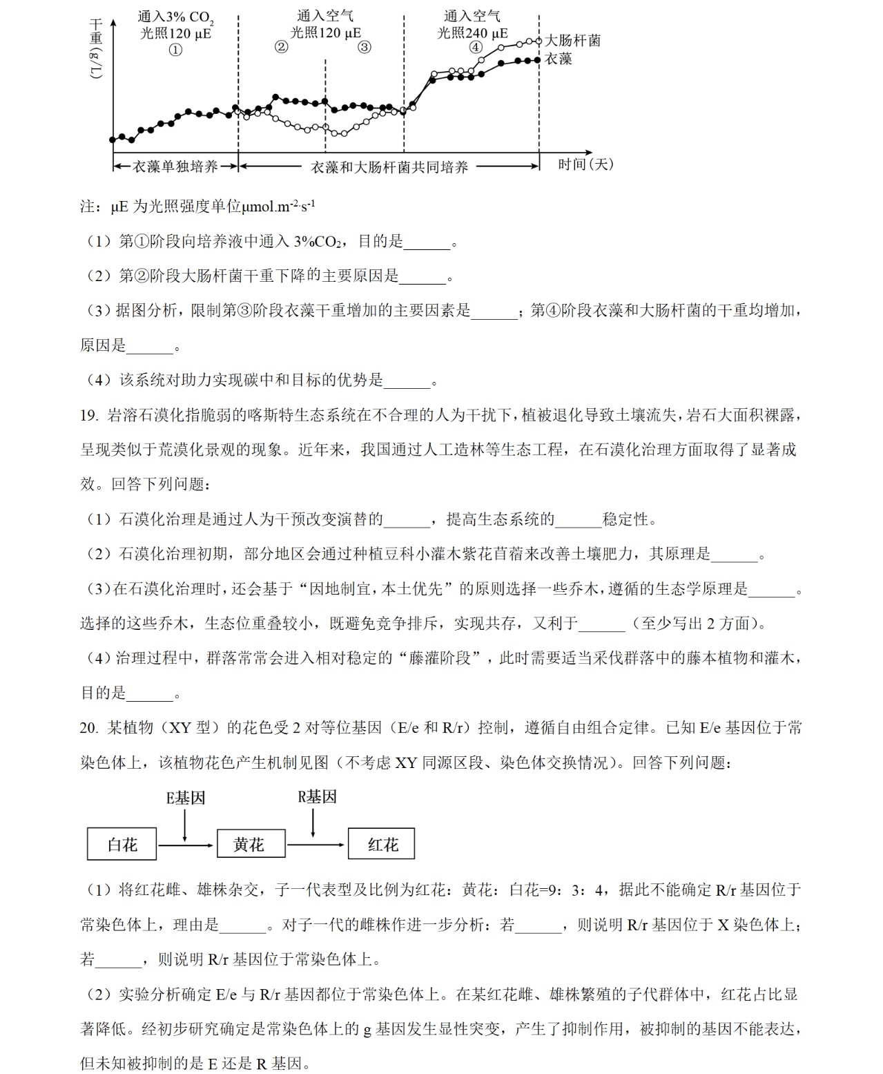 2025�����¸߿������Ծ����⼰�𰸽��������������ͼ���ֵ�ֲ�