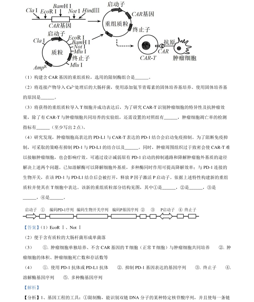 2025�����¸߿������Ծ����⼰�𰸽��������������ͼ���ֵ�ֲ�