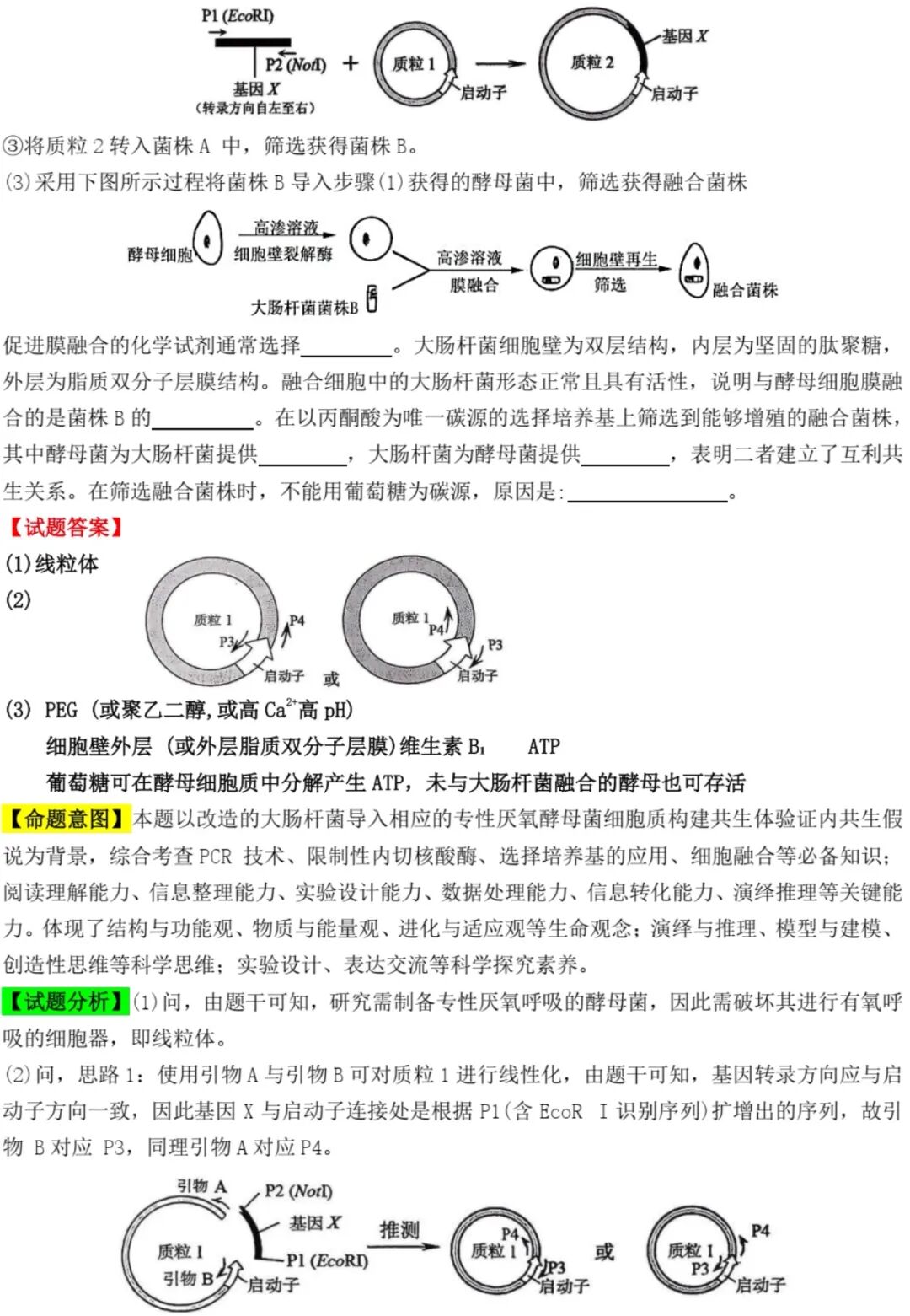 2025����¸߿������Ծ����⼰�𰸽��������������ͼ���ֵ�ֲ�