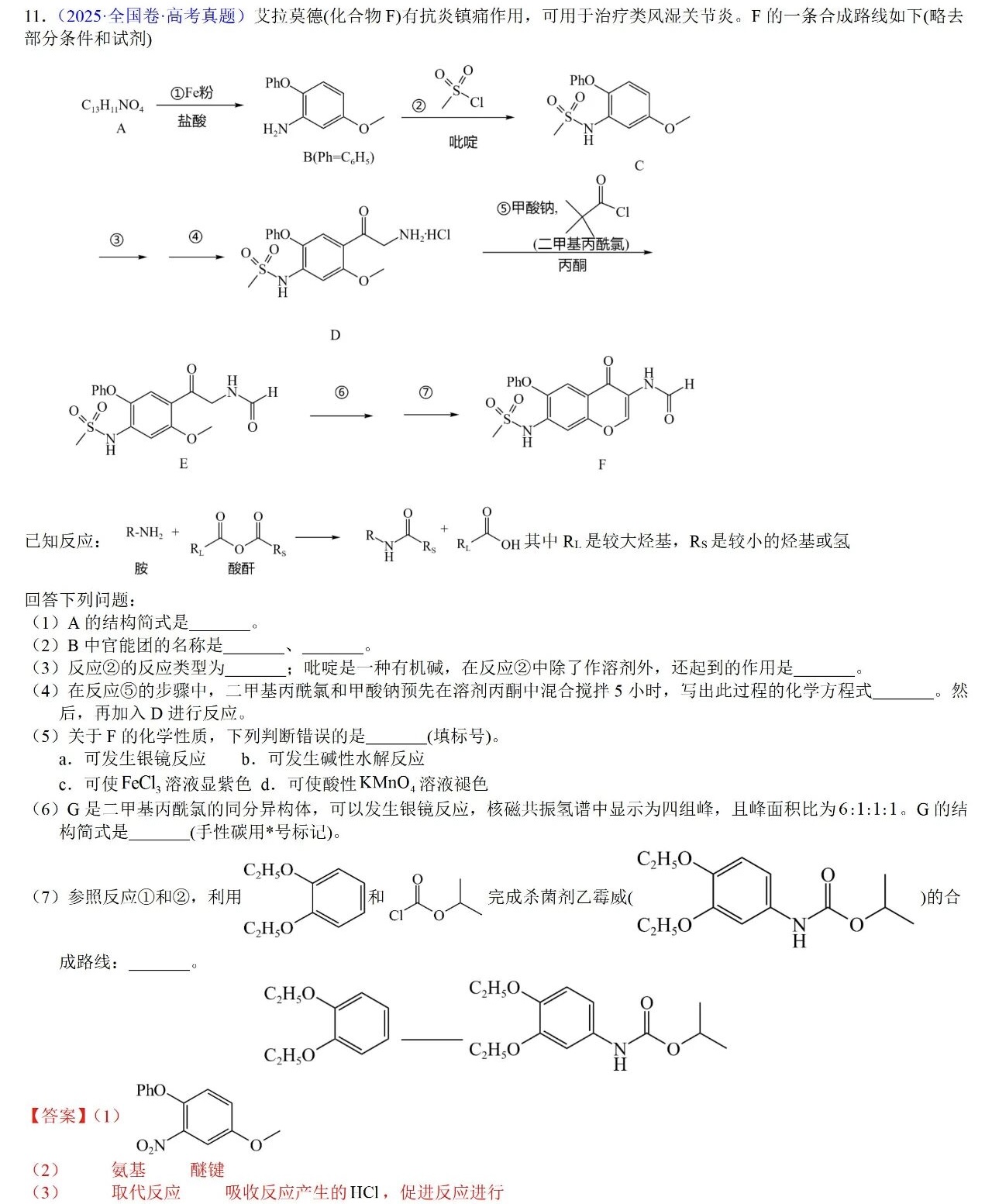 2025��߿�ȫ���¿α����۾���ѧ���⼰�𰸽������½�+���أ������������ͼ���ֵ�ֲ�